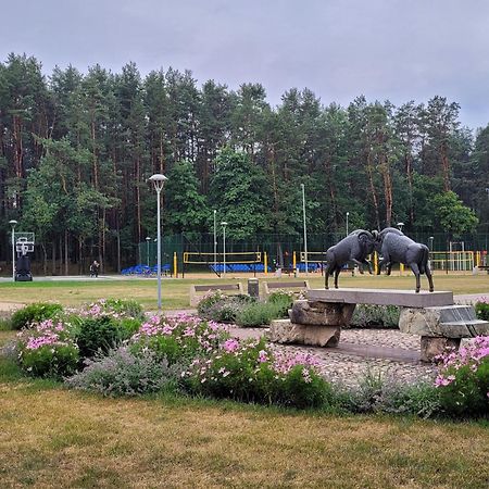 Chalet Villa Rex Druskieniki Zewnętrze zdjęcie