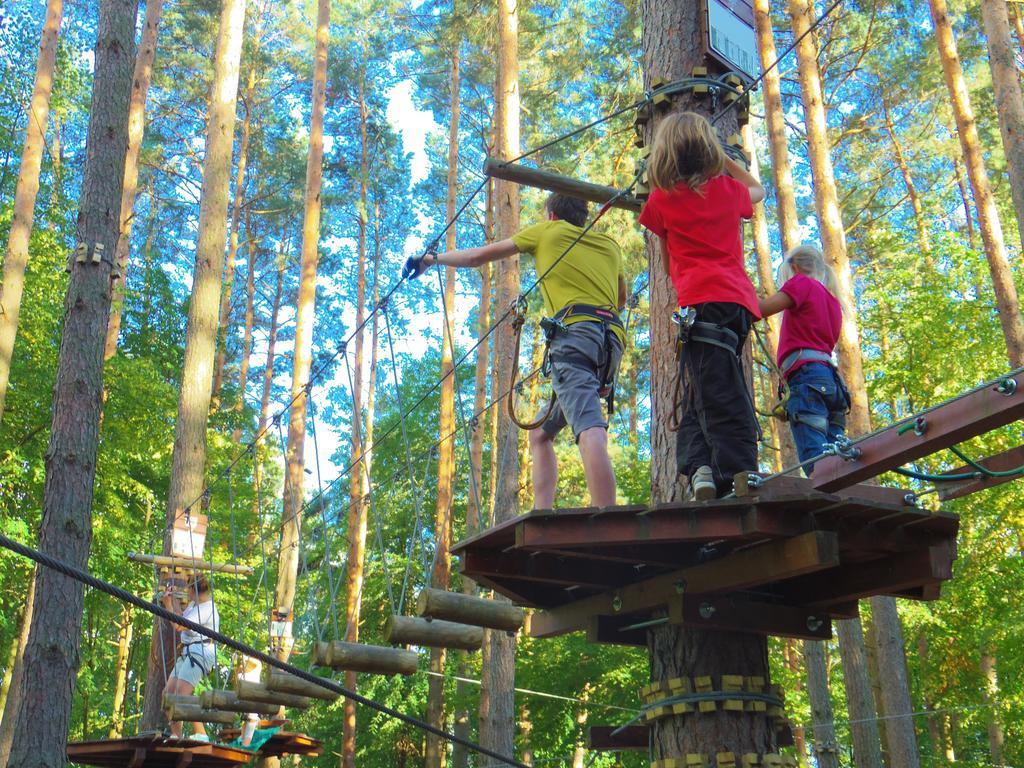 Chalet Villa Rex Druskieniki Zewnętrze zdjęcie