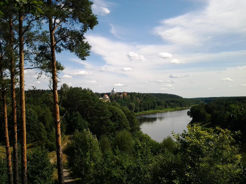 Chalet Villa Rex Druskieniki Zewnętrze zdjęcie