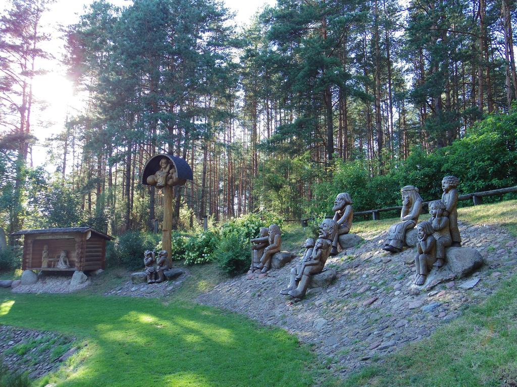 Chalet Villa Rex Druskieniki Zewnętrze zdjęcie