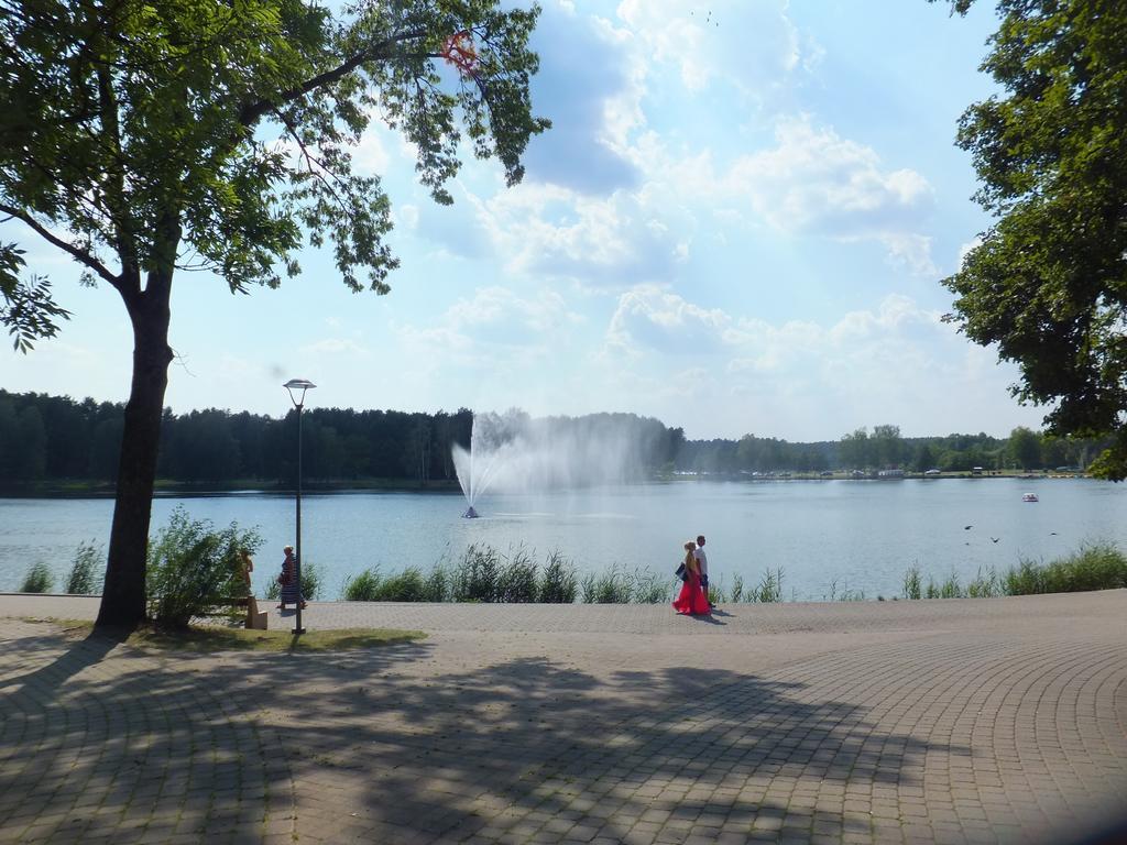 Chalet Villa Rex Druskieniki Zewnętrze zdjęcie