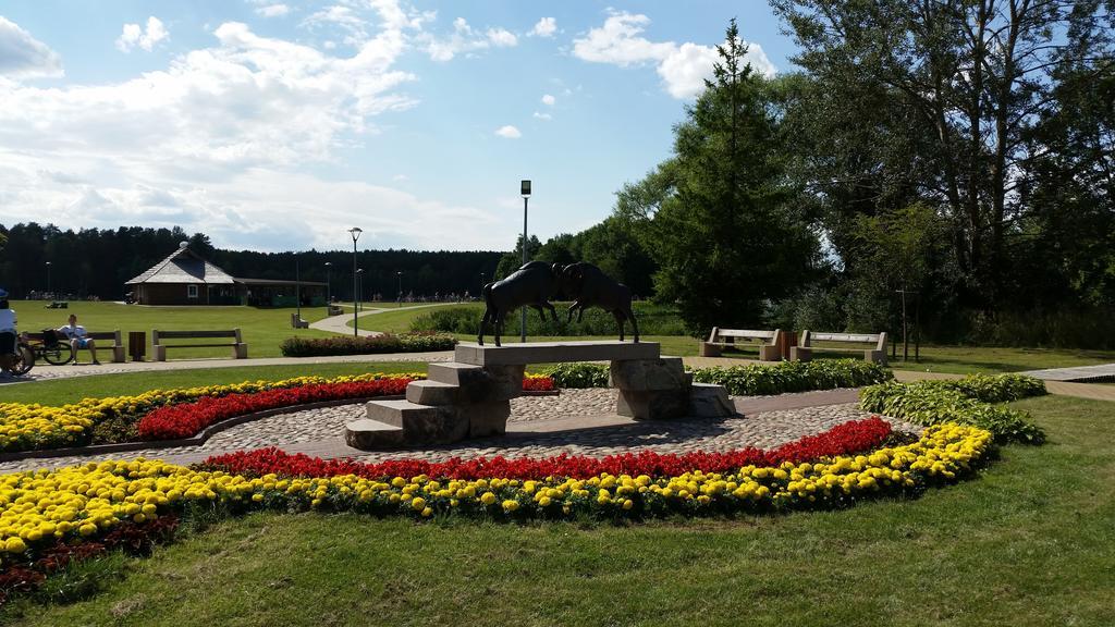 Chalet Villa Rex Druskieniki Zewnętrze zdjęcie