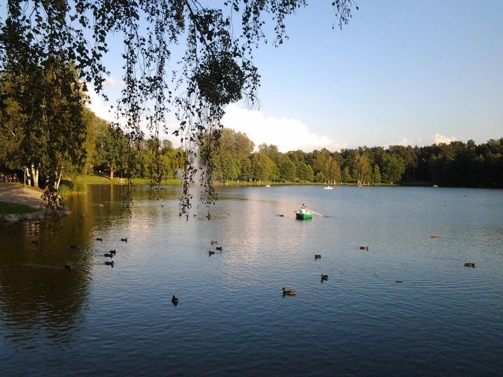 Chalet Villa Rex Druskieniki Zewnętrze zdjęcie