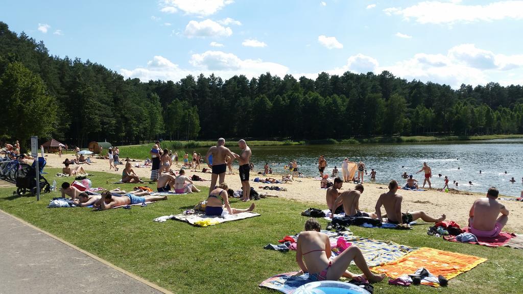 Chalet Villa Rex Druskieniki Zewnętrze zdjęcie